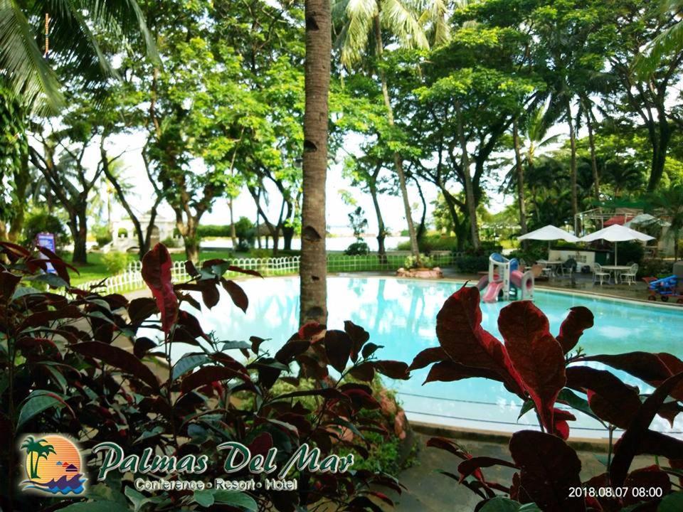 Palmas Del Mar Hotel Bacolod Bagian luar foto